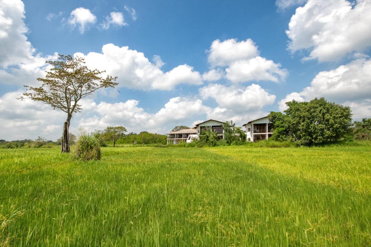 Ceylon Breeze Sigiriya Hotel Ngoại thất bức ảnh